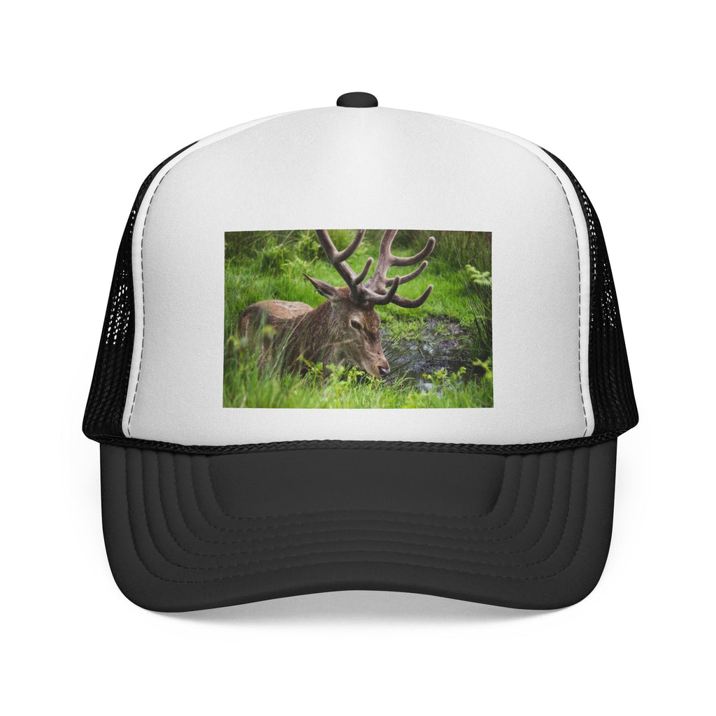 Elk Meadow Trucker Hat — Wildlife Photography Mesh Cap