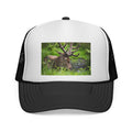 Elk Meadow Trucker Hat — Wildlife Photography Mesh Cap